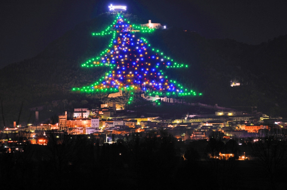 Papa acende hoje as luzes da maior árvore de Natal do mundo - Portal Click 3